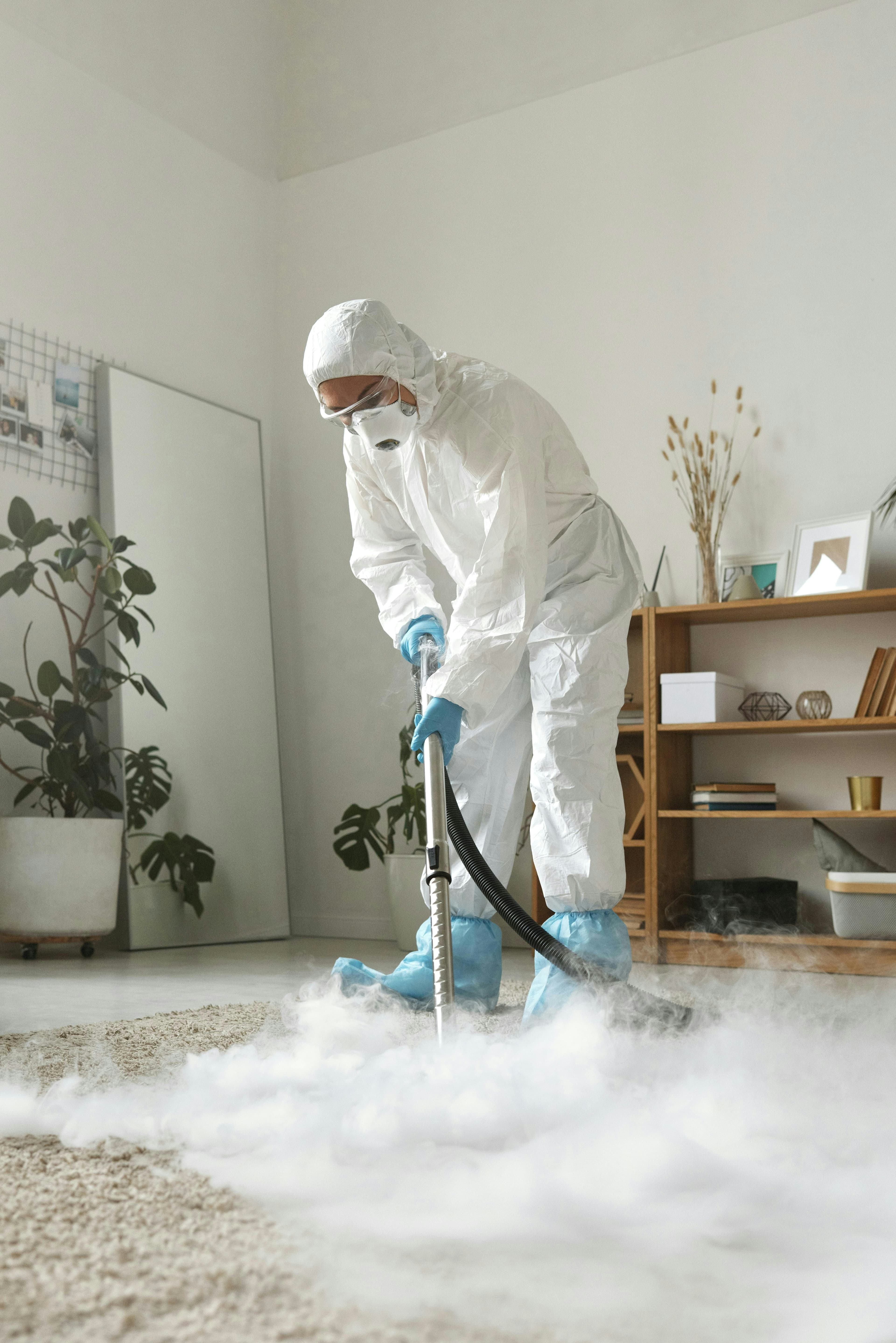Carpet being cleaned during a property turnaround